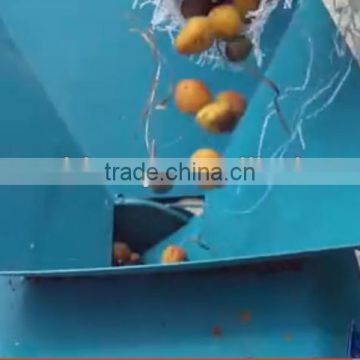 Most popular in Afghanistan Apricot Skin Removing machine