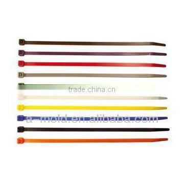 RoHS CE SGS Certificates Plastic Colored Magnificent Nylon Cable Ties photo-2