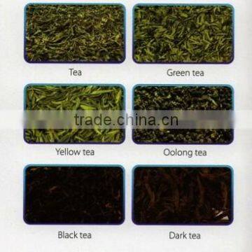 Ccd Tea Color Sorter for Pekoe Fanning 1 photo-3