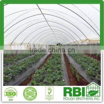 Tunnel plastic Greenhouse for agriculture low cost