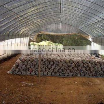 Galvanized Steel Pipes Greenhouse Structure With Hydroponic System photo-6