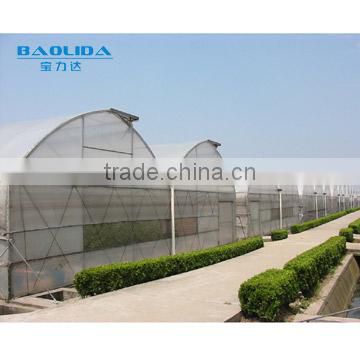 Multi span polythene film covered greenhouse for vegetables