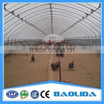 Galvanized Iron for Greenhouse photo-5