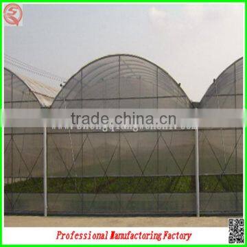 Low Cost Arched Type Multi-span Vegetable Greenhouses With Hydroponics System photo-6
