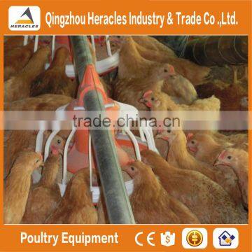 Automatic Broiler Poultry Farm Feeding and Drinking Systems & Chicken Poultry Farm Equipment photo-6