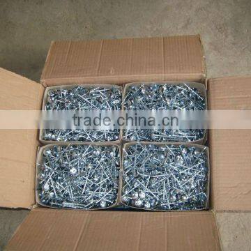 Nigeria Market 7Ibs 8boxes Package High Quality Umbrella Roofing Nails