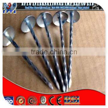 galvanized screw Umbrella head roofing nails