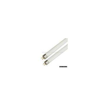 Sell T5 Fluorescent Lamp