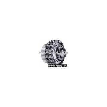 Roller Chain Coupling