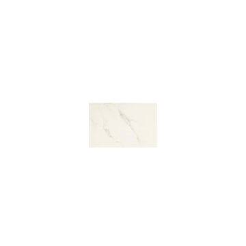 full body porcelain glazed tile:bianco white