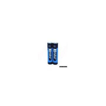 Alkaline AA Size Battery