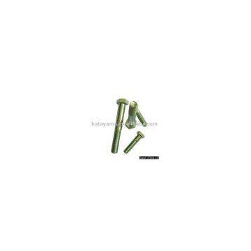 Hexagonal Bolts H.D.G
