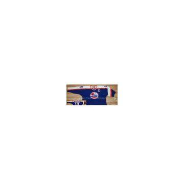 #10 Hawerchuk Winnipeg Jets CCM bule color nhl jersey