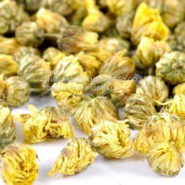 Efficient Chrysanthemum Drying Equipment photo-4