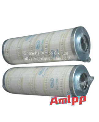 Main pump outlet filter (flushing) DP1A601EA01V-F