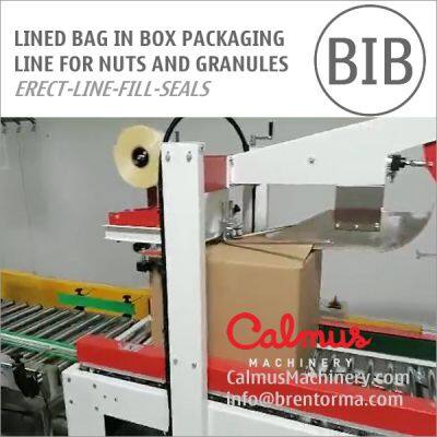 Carton Liner Bag in Box Line for Packaging Nuts and Granules photo-5