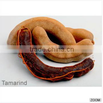 Tamarind