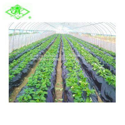 High Quality Agricultural Plastic Mulching Film Roll for Potatoes