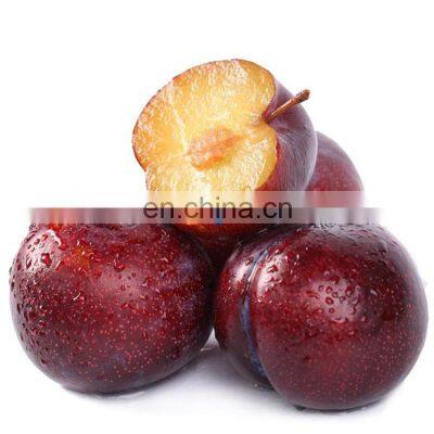 GYJL-2020 Complete Concentrated Black Plum Juice Production Line photo-2