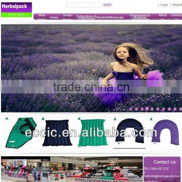 Ecommerce website design .Net aspx , online sell store