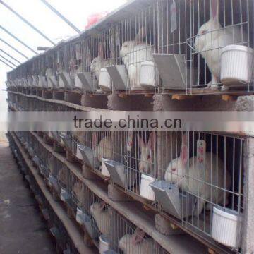 rabbit farming cage/rabbit breeding cages/commercial rabbit cages                        
                                                Quality Choice