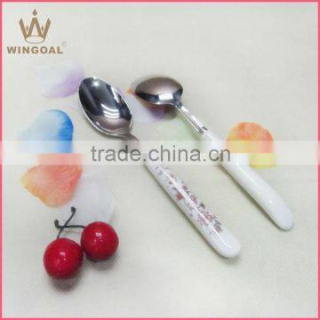 stainless steel spoon with ceramic handle, ceramic spoon                        
                                                Quality Choice