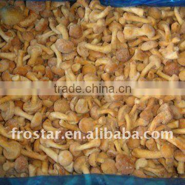 Frozen Nameko