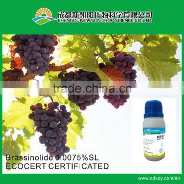 Natural Brassinolide 0.0075%SL