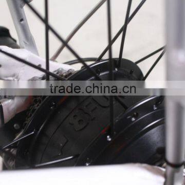 20inch 250w Folding Electric Bike