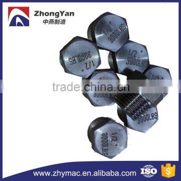 Threaded plug, threaded metal plugs, threaded fitting