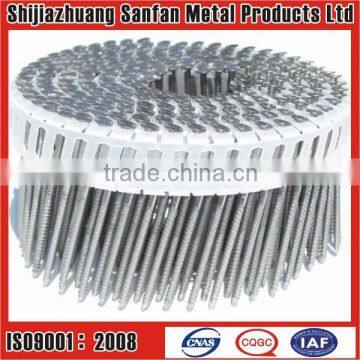 wire weld wooden pallet coil nail(manufacturer)