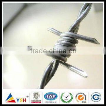 Hot sale BWG16x16 | 12x14, hot dipped galvanized electro galvanzied barbed wire fence