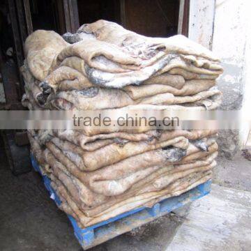 Wet And Dry Salted Cow Hides