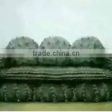 Inflatable cactus Water sofa