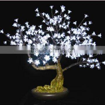 White bonsai cherry blossom tree