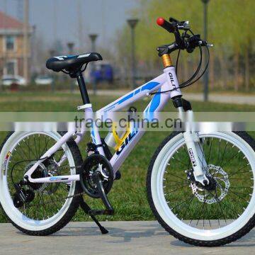 China manufacture fat bike style 24 inch steel frames mountain bike