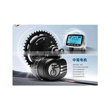 TS Central Motor Kits 36V 250W for