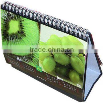 Promotional Calendar,Calendar,Desk Calendar photo-2