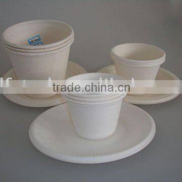 Biodegradable Cutlery