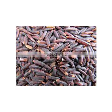 Purple Long Grain Rice 5% Broken from Viet Nam