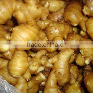 export 2012 new crop china fresh ginger