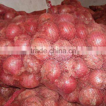 Fresh Chinese Red Onion photo-2