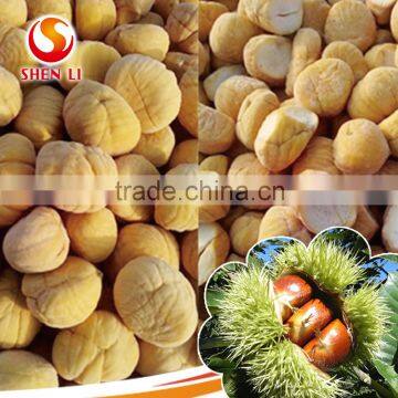 IQF Chestnuts Frozen Chestnut Kernel for sale