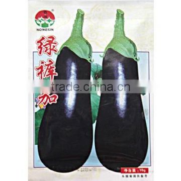 High Quality hybrid Black Eggplant Seeds For Growing-Graceful