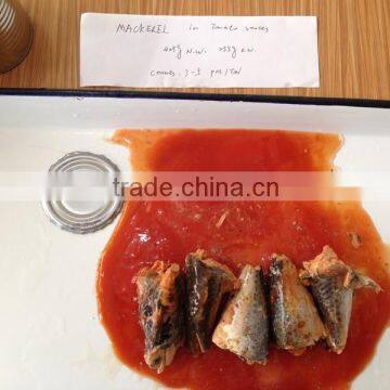 Canned Food Canned Fish Mackerel in Tomato Sauce