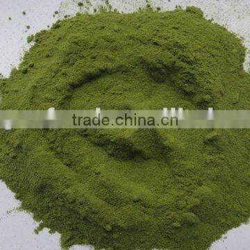 dehydrated spinach powder 2012