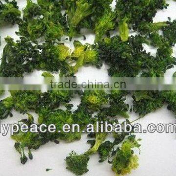 superior quality dehydrated broccoli flakes