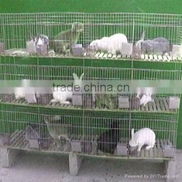 China Factory wire mesh cage for rabbit,Breeding rabbits cage .Rabbit cage