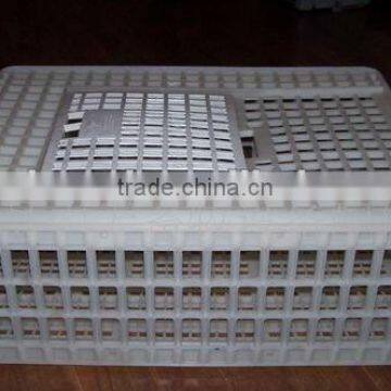 plastic chicken cage