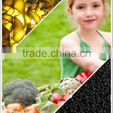 Shiny seaweed granue fertilizer slow release fertilizer with good price